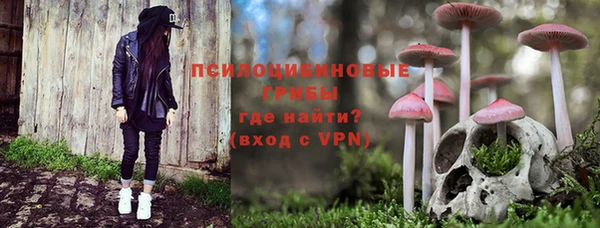 СК Пестово