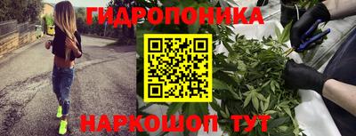 jwh Абакан