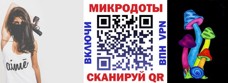 даркнет сайт Новокубанск Псилоцибиновые грибы мухоморы