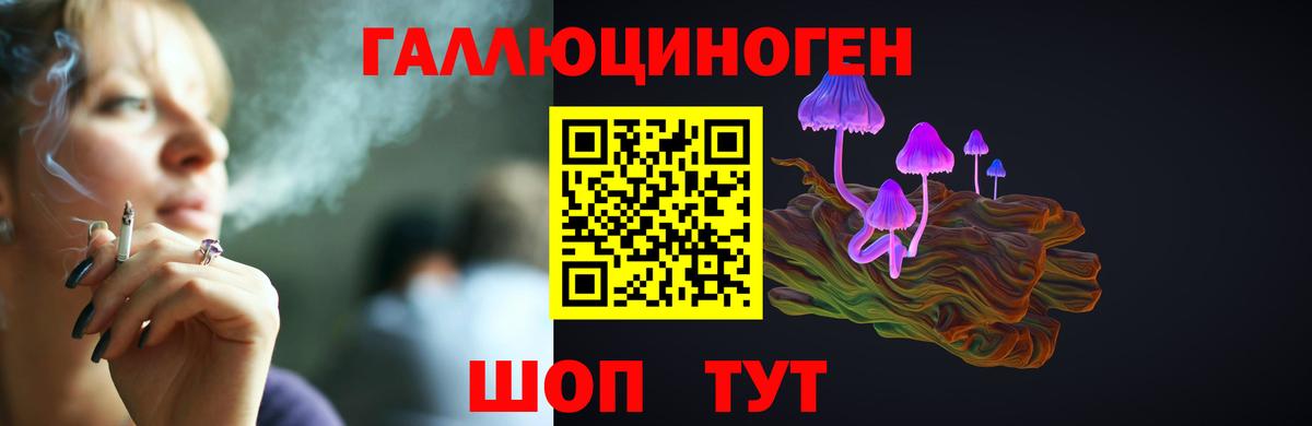 Псилоцибиновые грибы мицелий Новокубанск